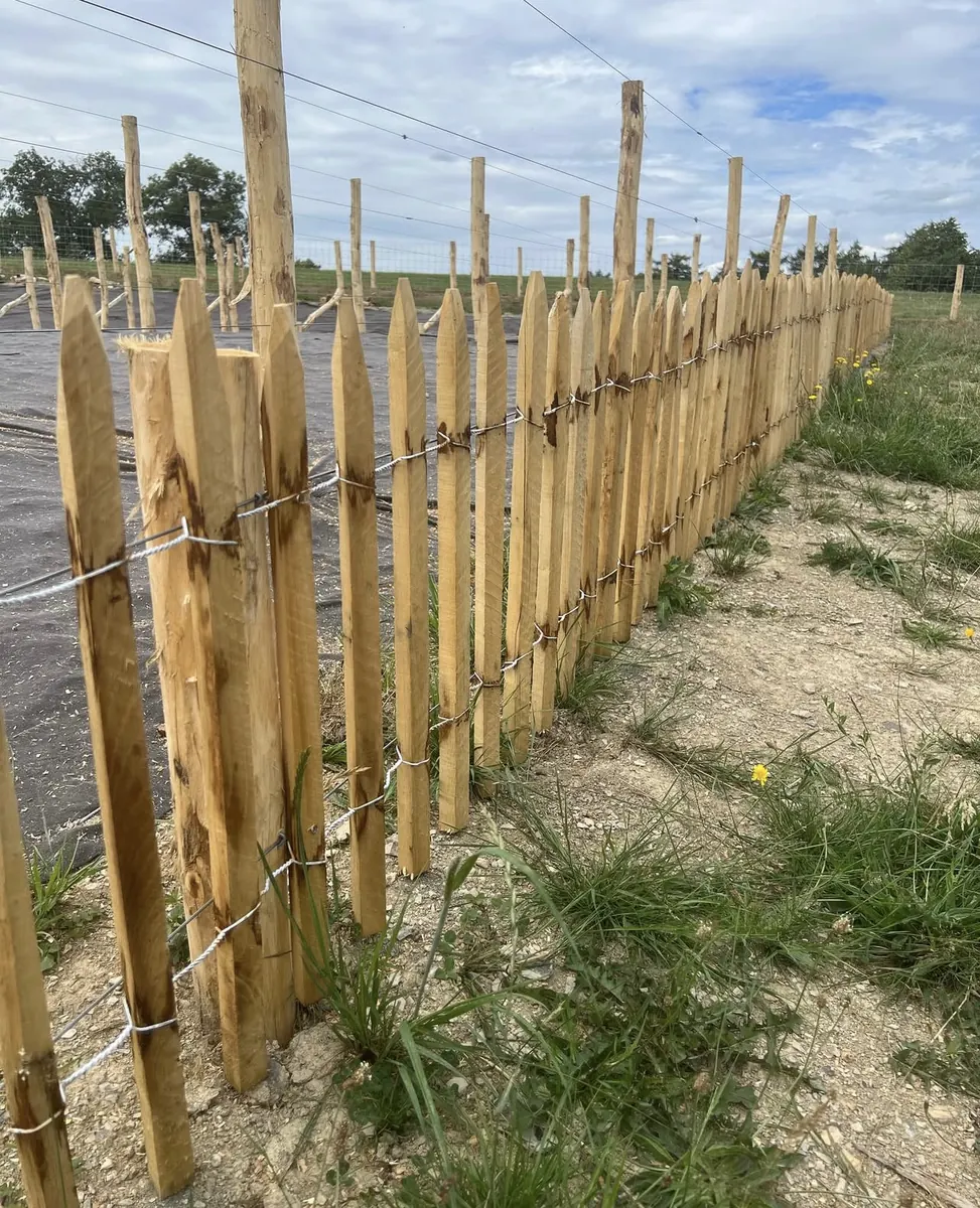 Réalisation de clôture Clôtures Morel — chantier 10