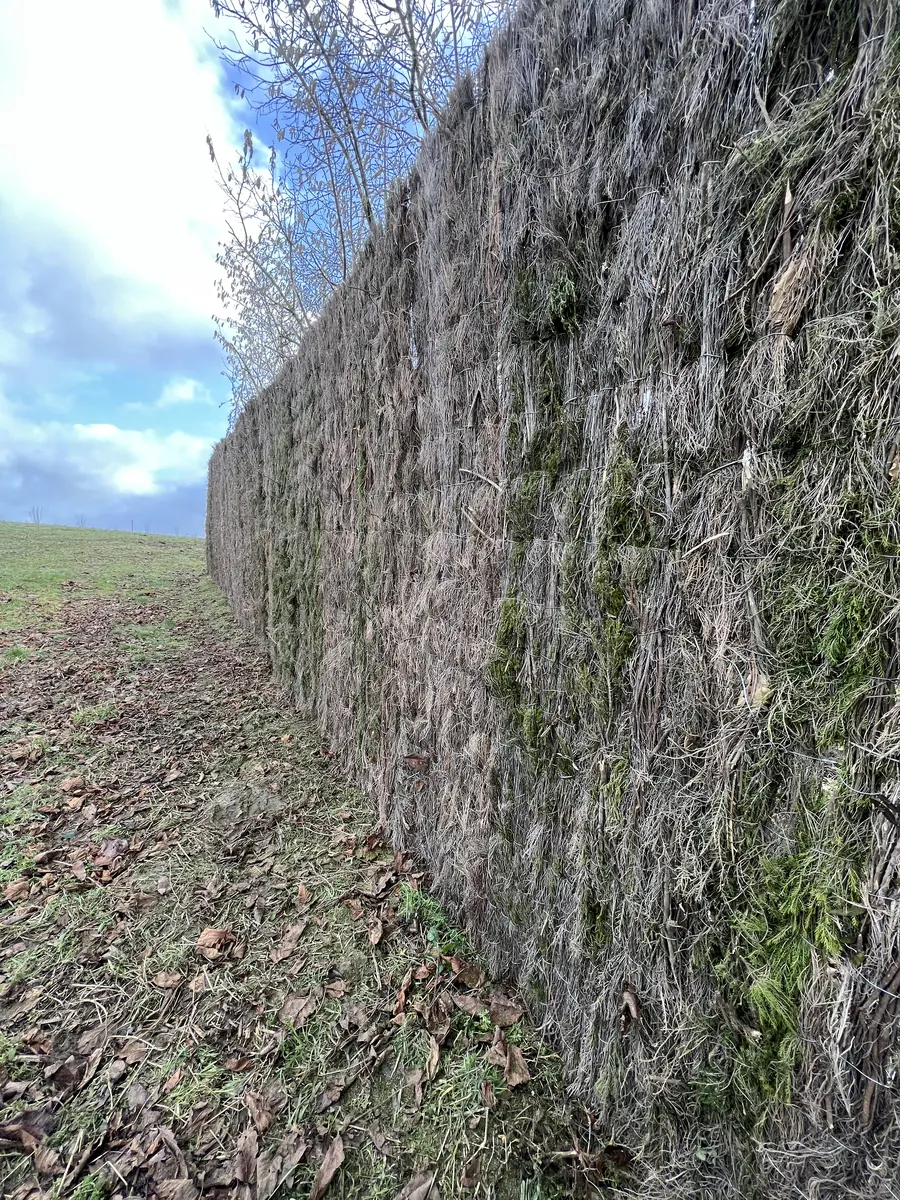 Réalisation de clôture Clôtures Morel — chantier 35